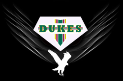 Dukes-Cricket-Balls-logo.jpg